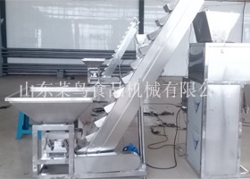 给袋式自动包装机